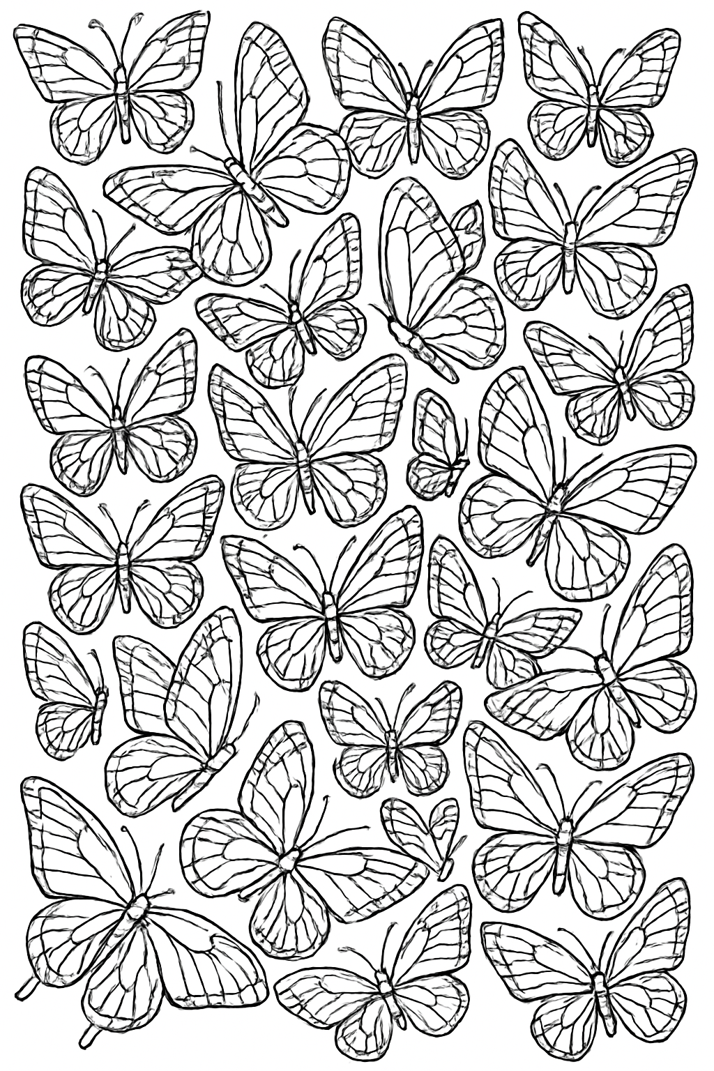 Free Butterfly coloring page